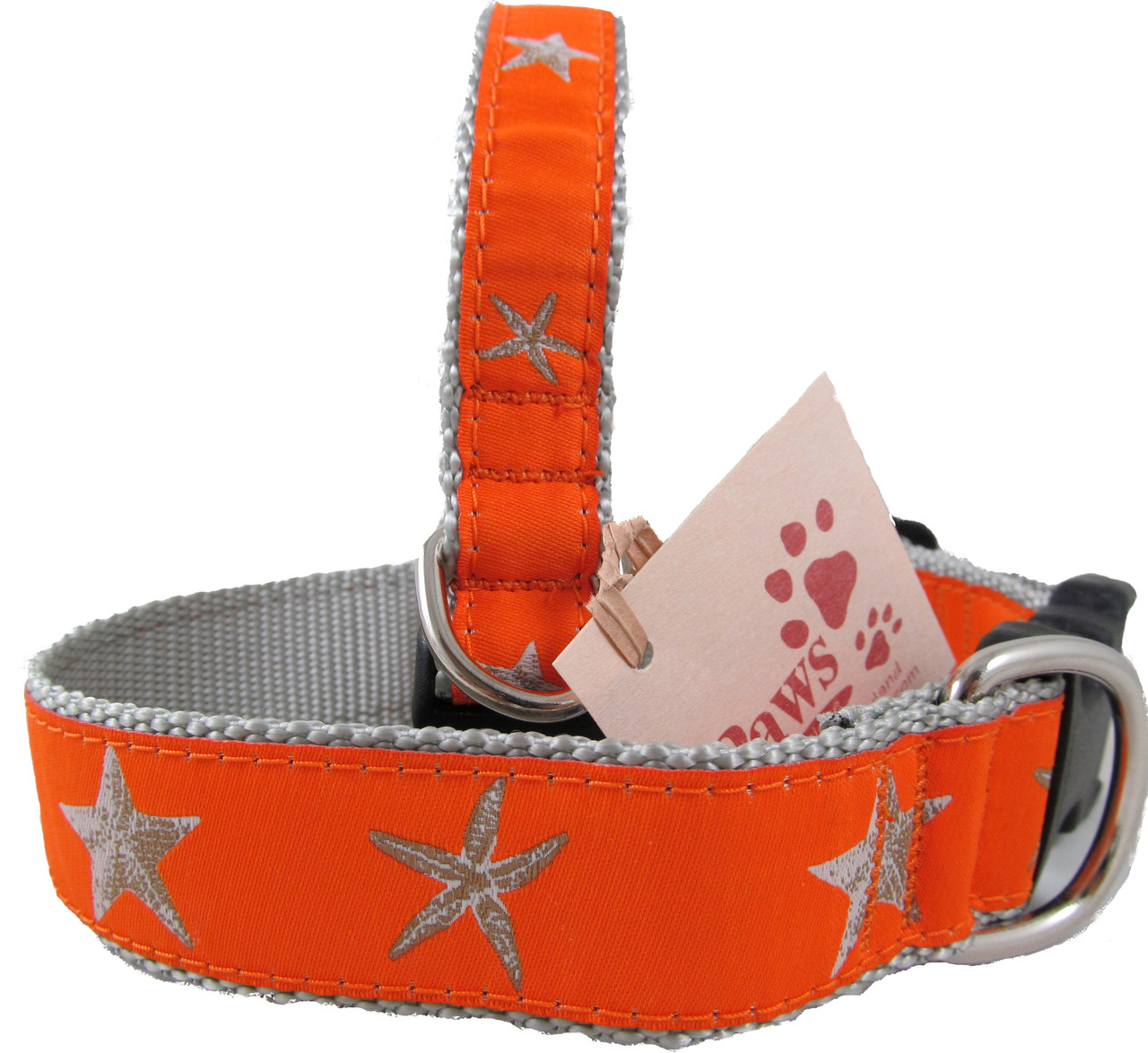 Teal Starfish Dog Collars Made in USA Cute Beachy Dog Collars