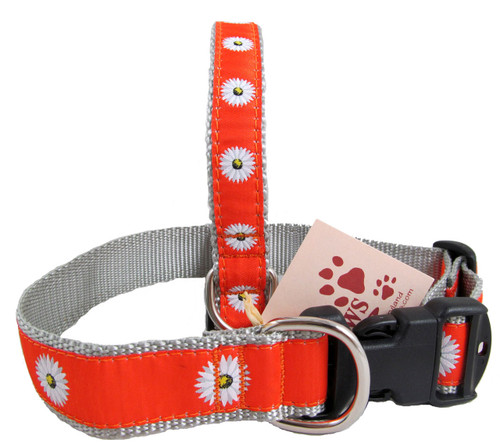 Orange Daisy Dog Collars look so happy!