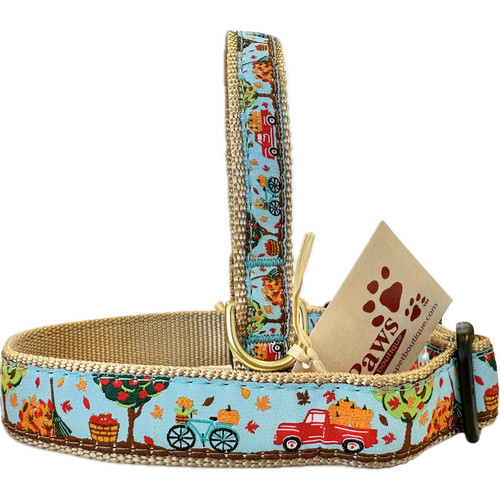 Fall Orchard Dog Collars Made in USA