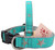 Starfish Dog Collars with a Soothing Teal Background