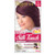 Silk Touch Ammonia Free Cream Color