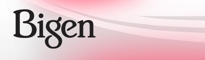 bigen-banner.png
