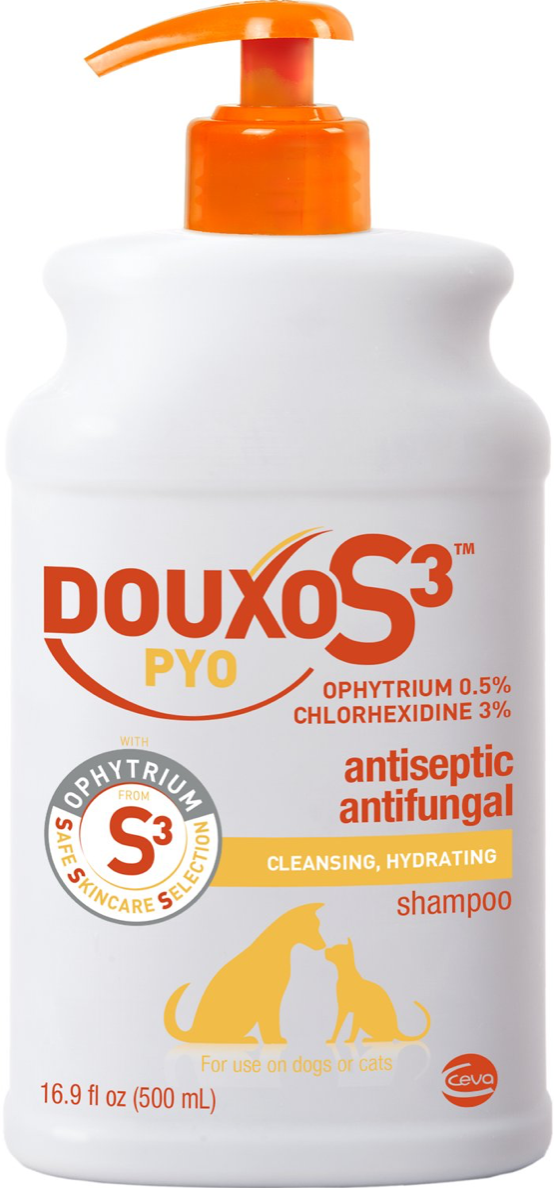 douxo chlorhexidine shampoo