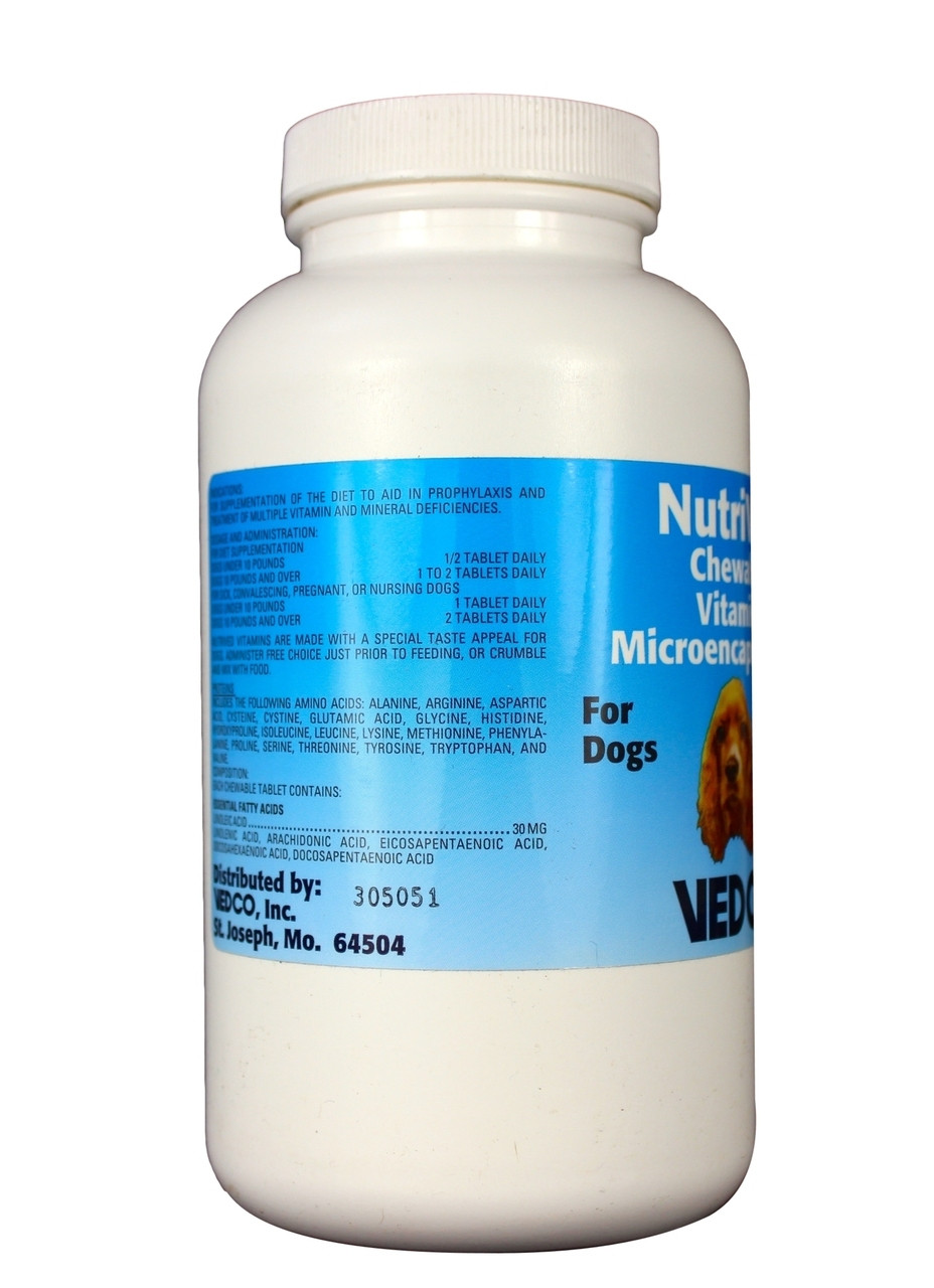 betta fish with glofish