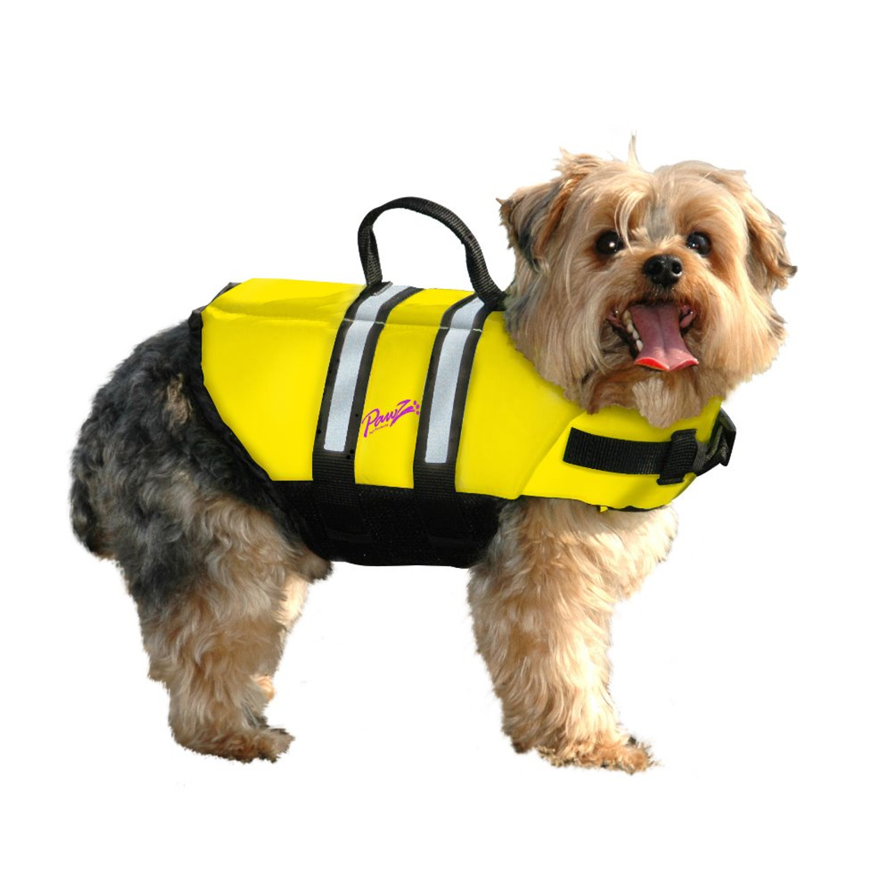 pawz life jacket