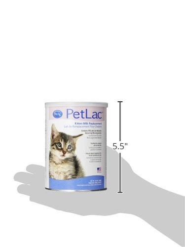 PetLac KMR [Kitten Milk Replacement] (10.5 oz) Pet Wish Pros