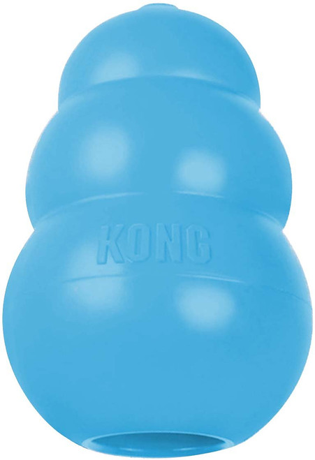 kong beaver toy