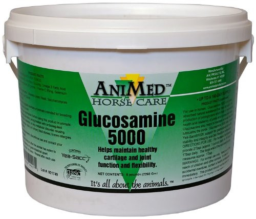 Glucosamine 5000 for Horses (5 lb)
