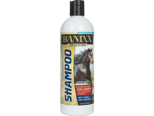 BANIXX Shampoo w/ Collagen for Horses (16 oz)