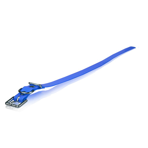 Dogtra Extra Dog Collar Strap Blue 1" x 24"