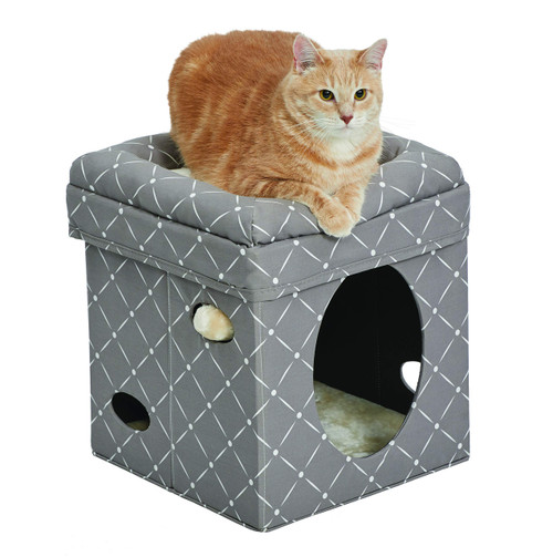 Mid-West Cat Cube [Mushroom]