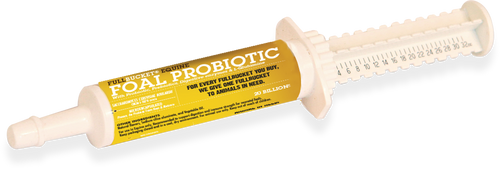 FullBucket Equine Foal Probiotic Paste (32.5 cc)