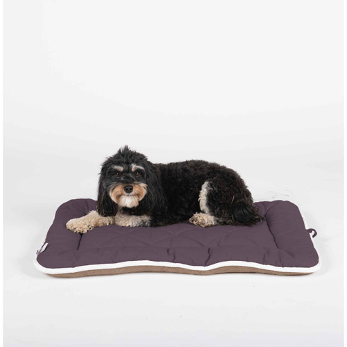DGS Pet Products Pet Cotton Canvas Sleeper Cushion (Pebble Grey / Large)