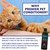 Eqyss Premier Pet Conditioner (16 oz)