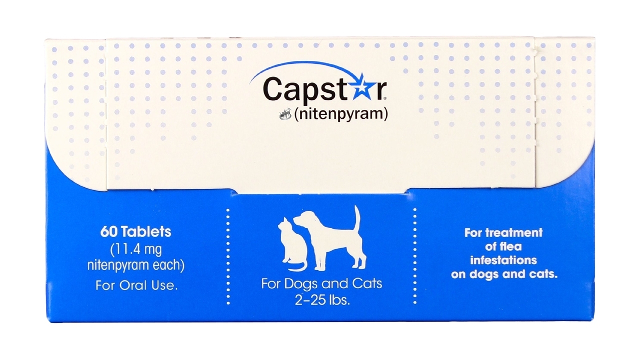 capstar for cats