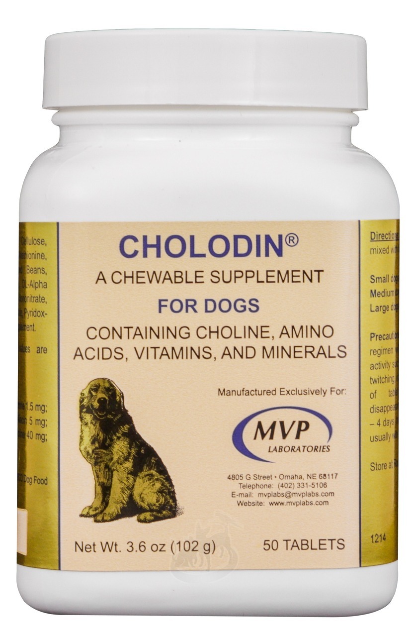 choline for dogs