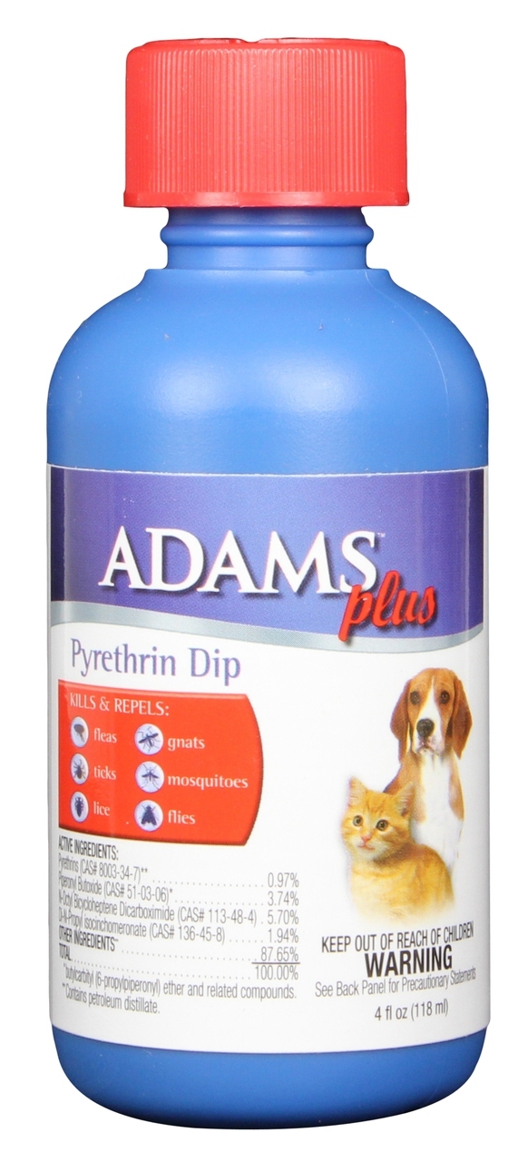 flea dip for cats