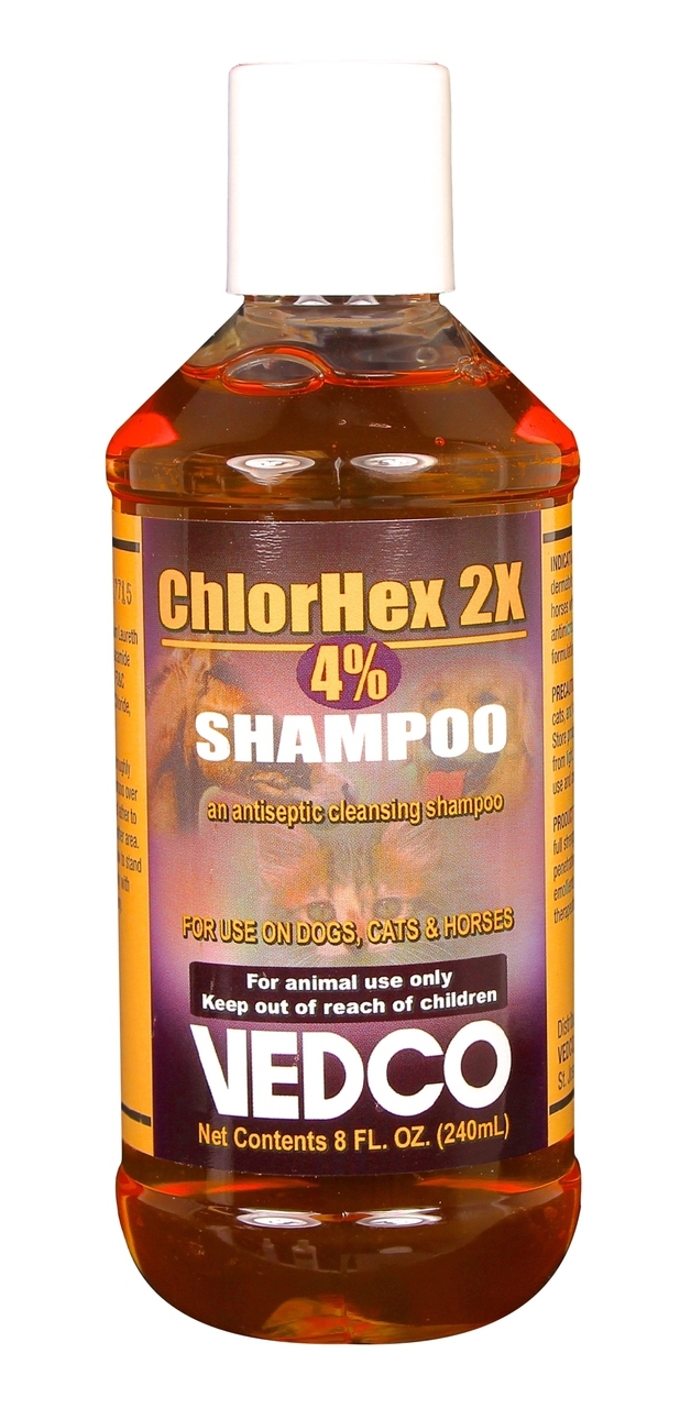 chlorhexidine gluconate shampoo