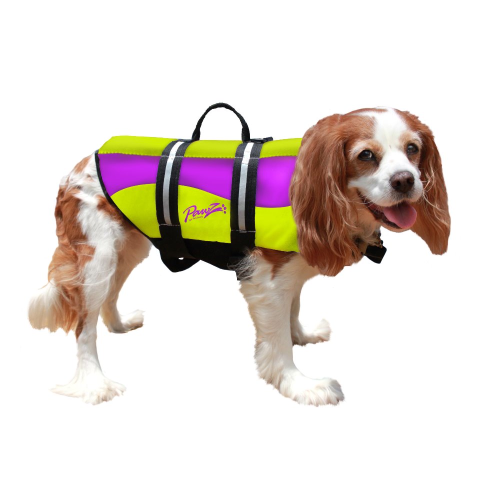 Teacup dog store life jacket