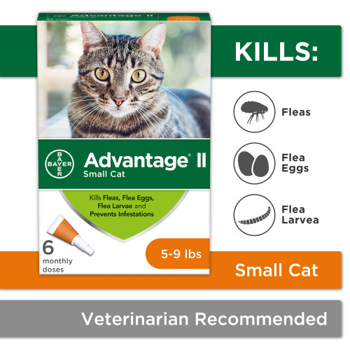 ADVANTAGE II Cat Small (6 count) Pet Wish Pros
