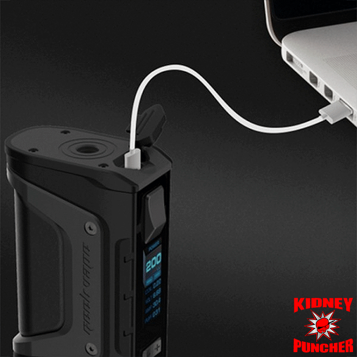 Geek Vape - Aegis Legend 200W Mod - Kidney Puncher