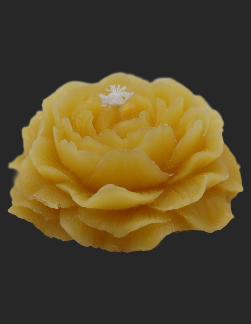 Open Flower Beeswax Candle - Honey Pacifica