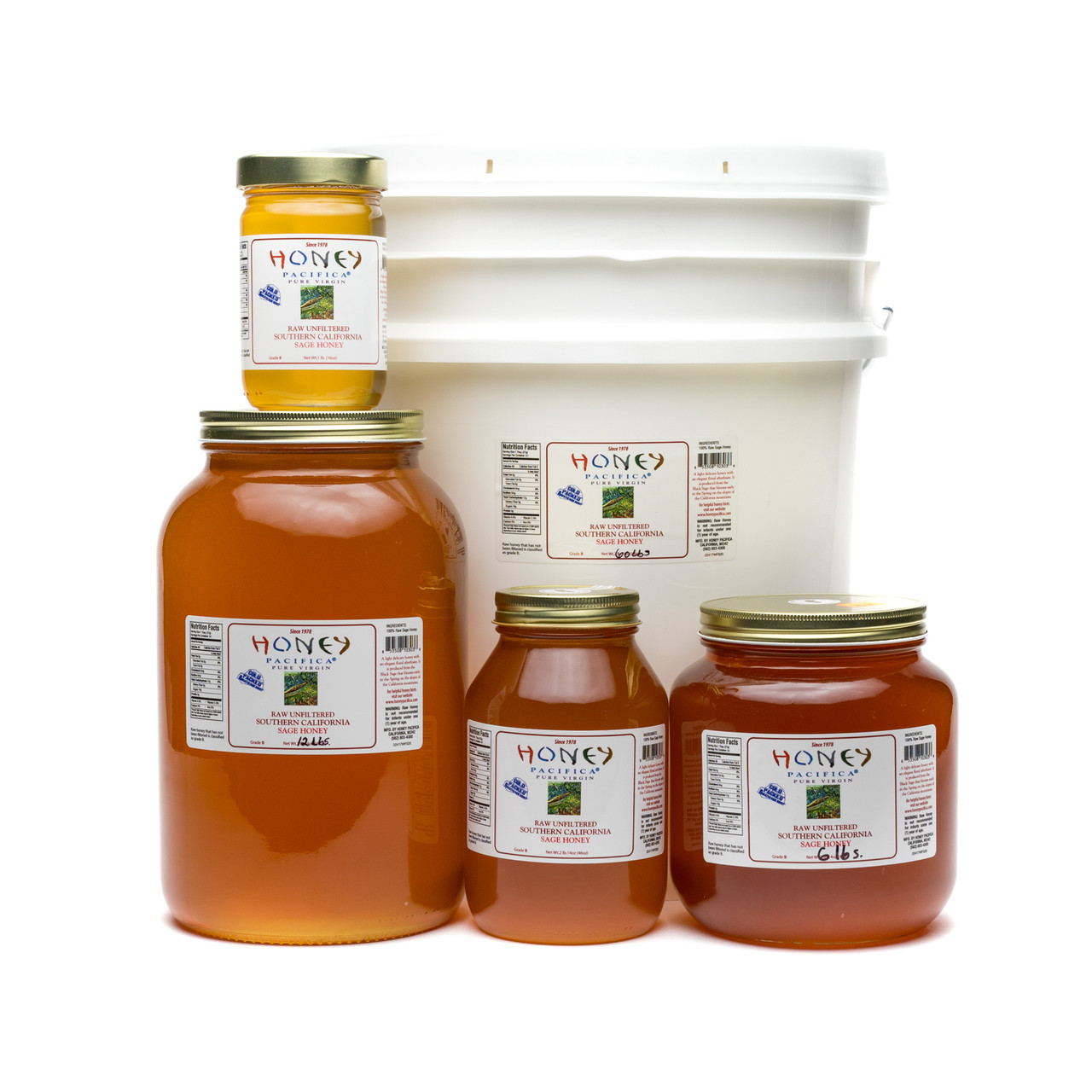 Cold Packed Sage Honey, Raw Sage Honey, Black Sage Honey | Honey