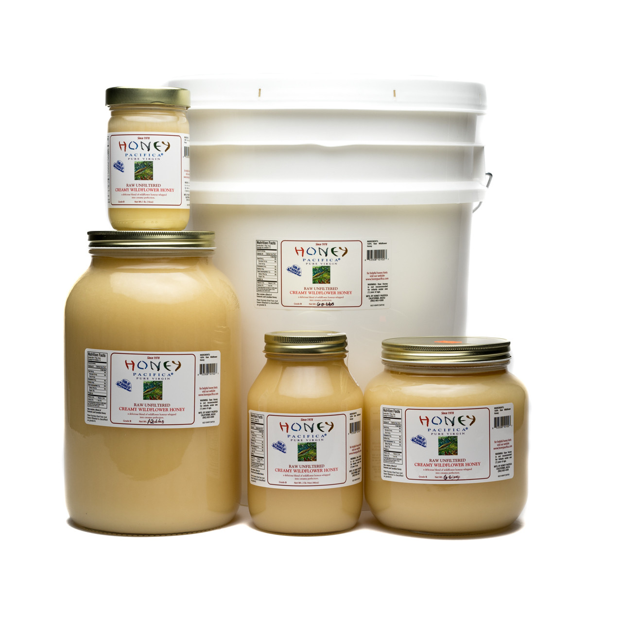Creamy Wildflower Honey, Whipped Honey, Raw Wildflower Honey