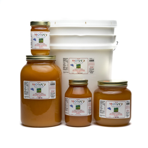 Honey Pacifica Raw Coastal Wildflower Honey - 16 Oz Unprocessed, Unheated Glass Jar