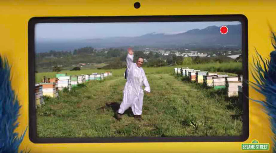 Beekeeping on Sesame Street