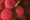 Raspberries