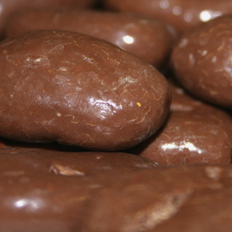 Sugar Free Chocolate Covered Pecans 12oz