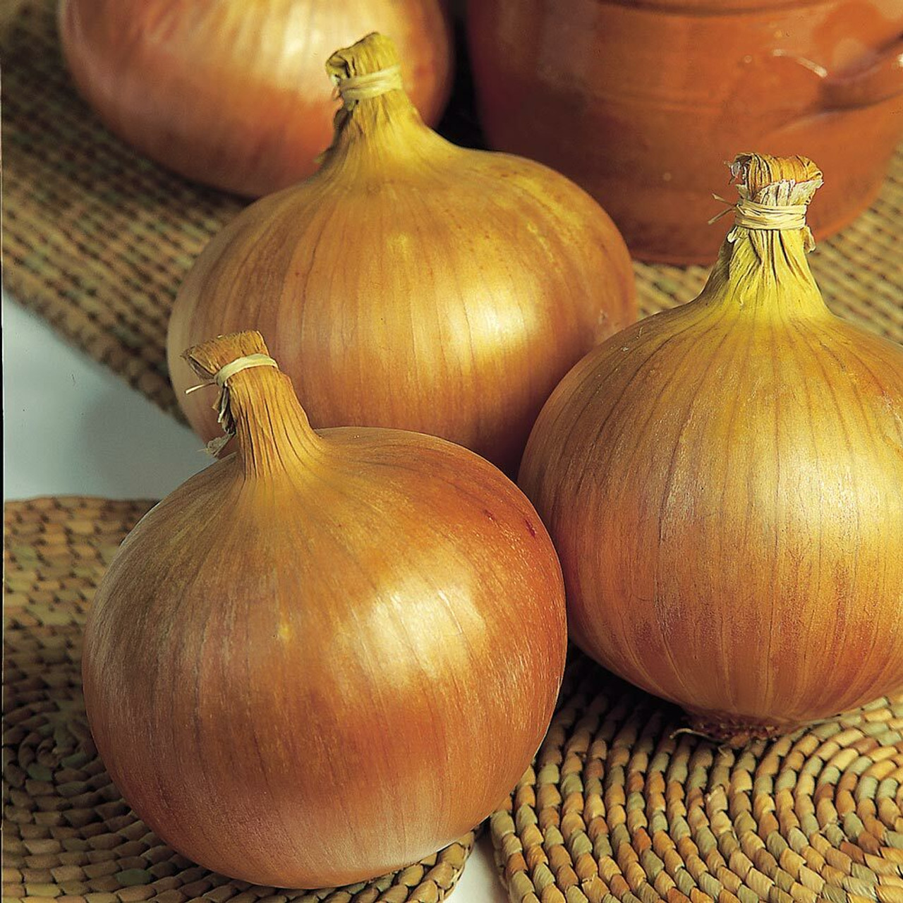 Onions