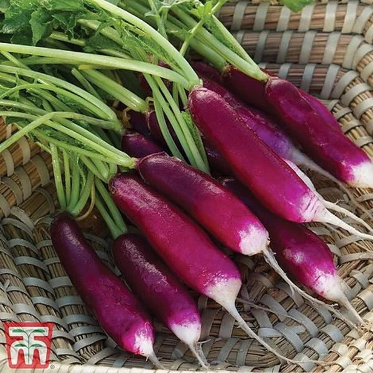 Radish