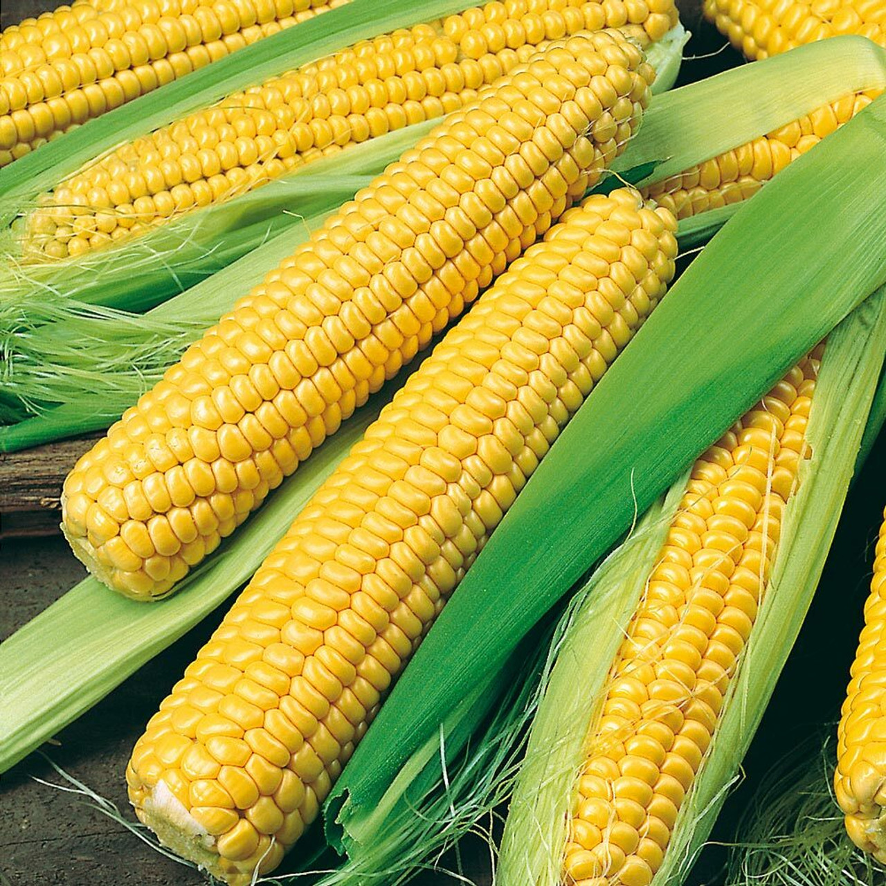 Sweetcorn