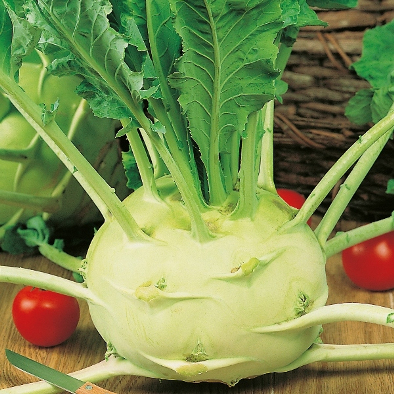 Kohlrabi