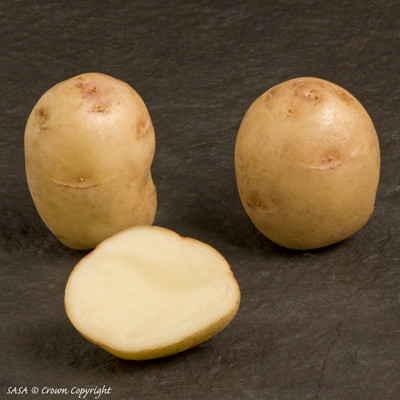 Queens Seed Potatoes - 2kg per bag