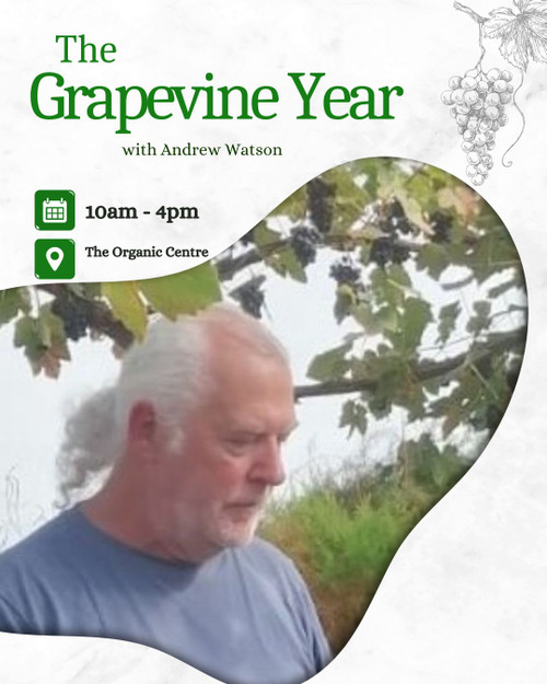 The Grapevine Year with Andrew Watson 07th Feb 2026