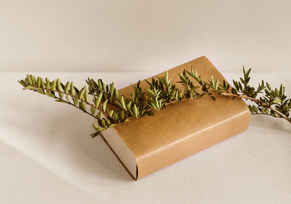 Diccionario de nombres en Farmacia Elena de Miguel en Sevilla