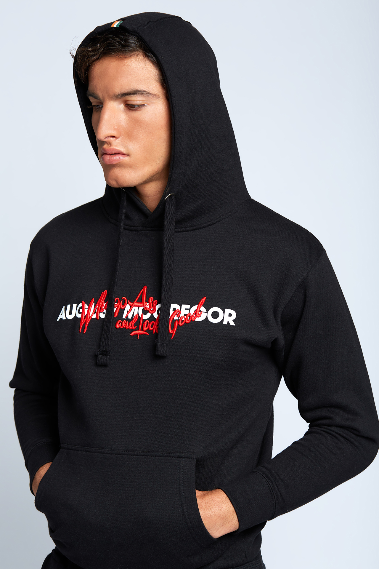 the north face cyclone 2 hoodie