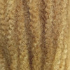 Color swatch for RastAfri 19" Malibu Afro Kinky, HM27/613 Mixed Blond