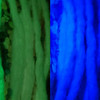 Synth dreads made by RoboKitty in Pink Cotton Candy. The left picture with the green glow is in the dark, and the right picture with the blue glow is under blacklight.