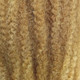 Color swatch for RastAfri 19" Malibu Afro Kinky, HM27/613 Mixed Blond