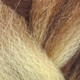 Close-up of the transition from brown to blond for RastAfri Highlight Braid, Latte