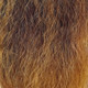 Color swatch for RastAfri 14" Original Classy Sassy, BT1B/30 1B Off Black with Light Auburn Tips