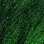 colorchart-kk-junglegreen.jpg