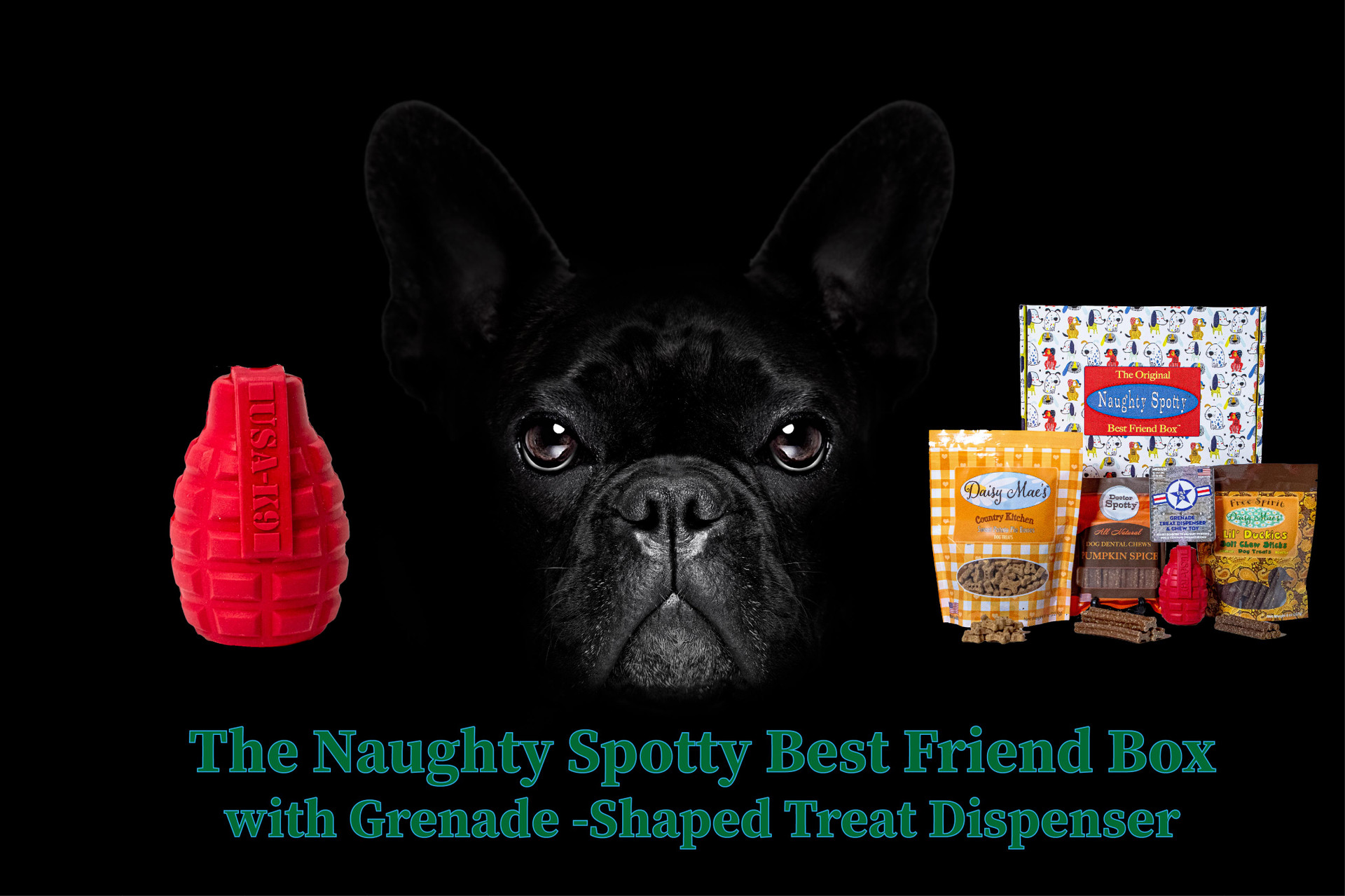 The Original Naughty Spotty™ Best Friend Box with UFO Treat Dispenser for  XS/Small Dogs