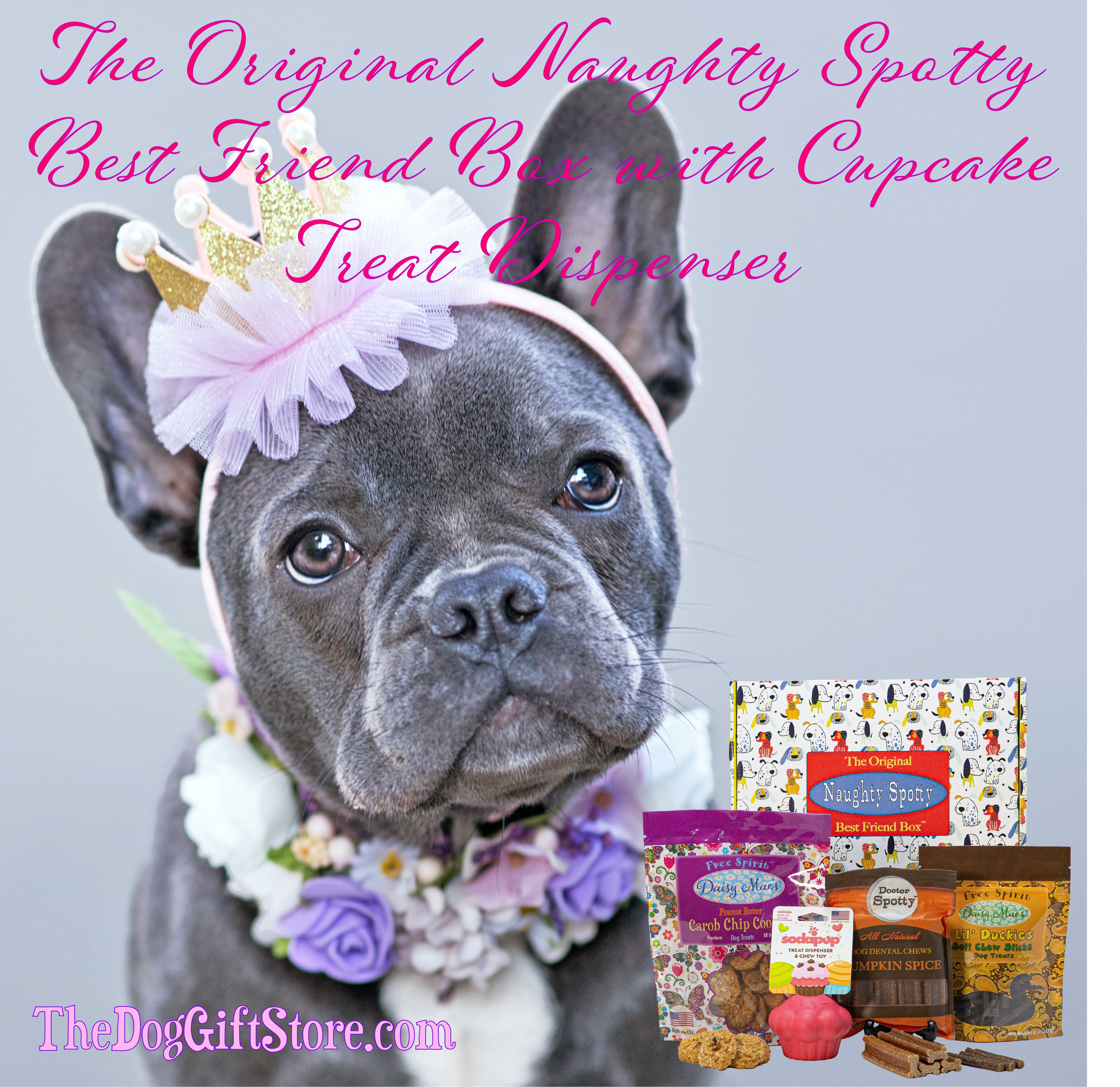 The Original Naughty Spotty™ Best Friend Box with UFO Treat Dispenser for  XS/Small Dogs
