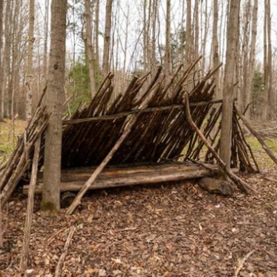 Emergency Shelter Tips For Success Emergency Shelter Tips For Success