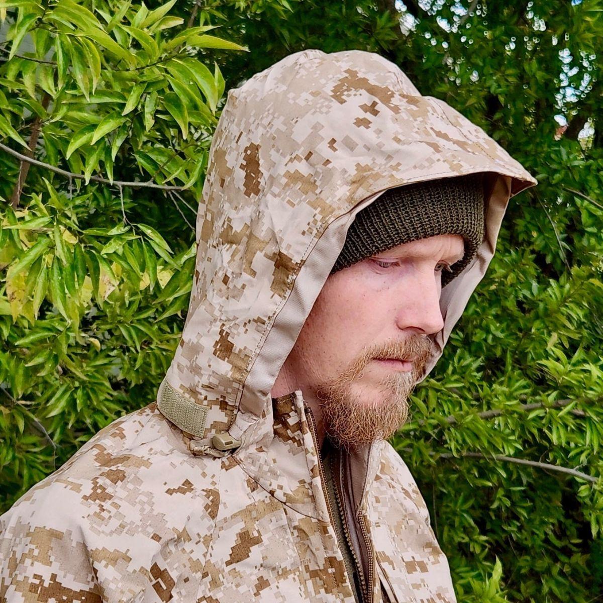 US Navy Digital Desert GORE-TEX Parka, AOR1